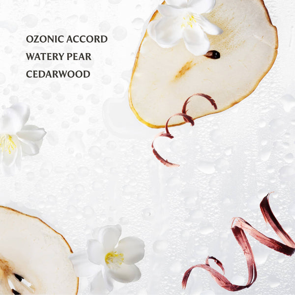 Rainwater Power Mist Hydrating Hand Sanitizer - Northern Print Co.