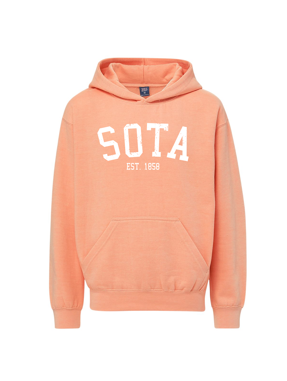 Youth MN Hoodie [puff logo] - Northern Print Co.