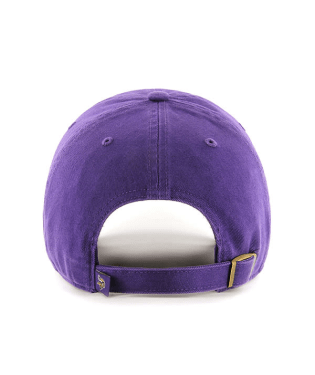 Minnesota Vikings Cap - Northern Print Co.